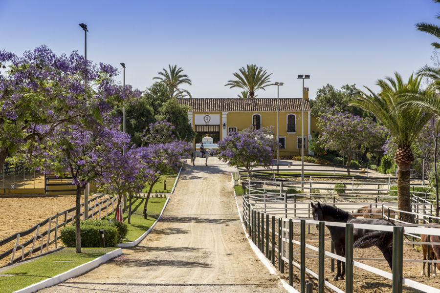 La Zagaleta Riding Club